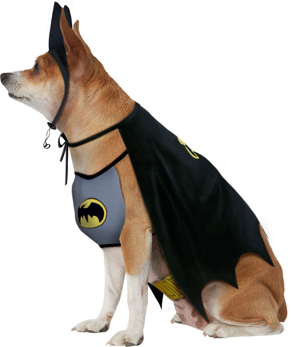 Pet in black cape and gray chest panel with yellow bat logo, side view.