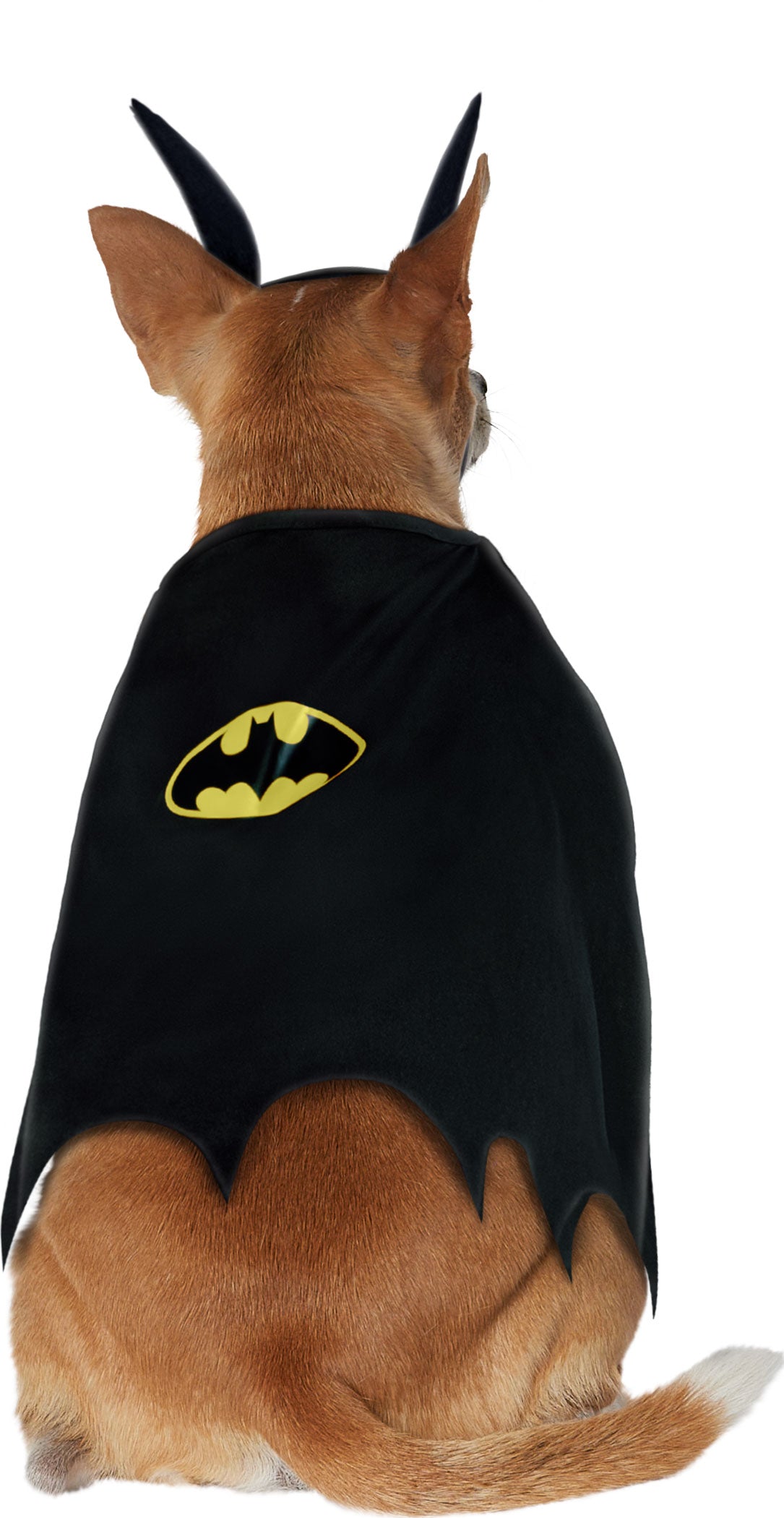 Black bat cape pet costume with yellow bat emblem on gray chest panel, rear view.