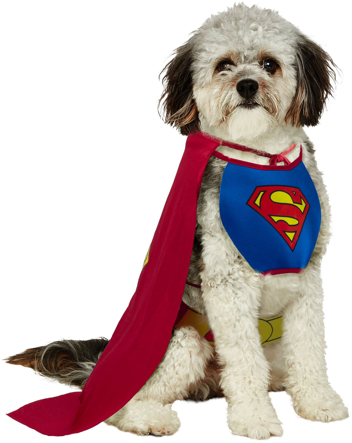 Pet superhero costume with red cape, blue chest suit, and yellow Superman-style emblem