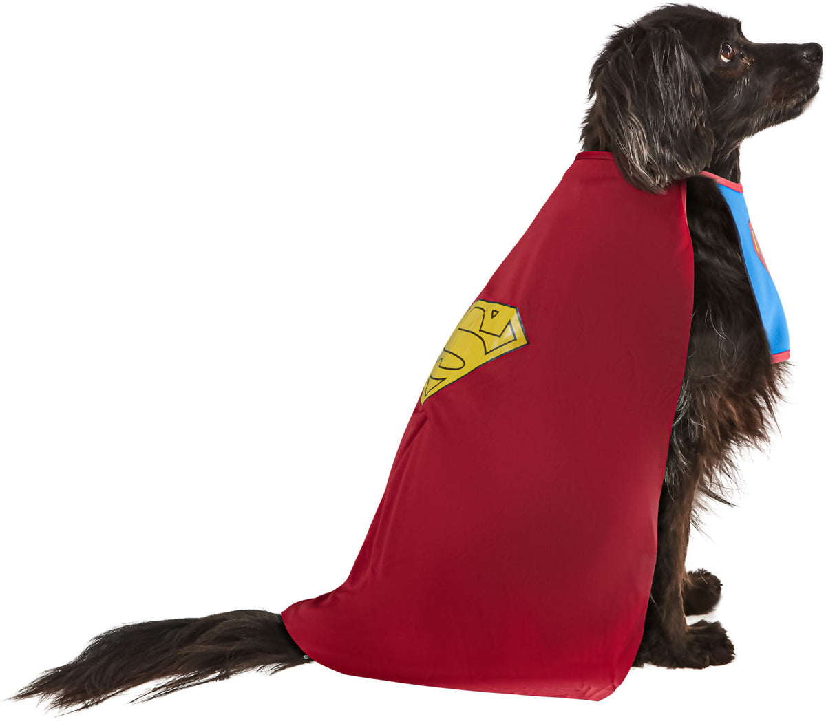 Pet superhero costume red cape with yellow emblem detail at the side