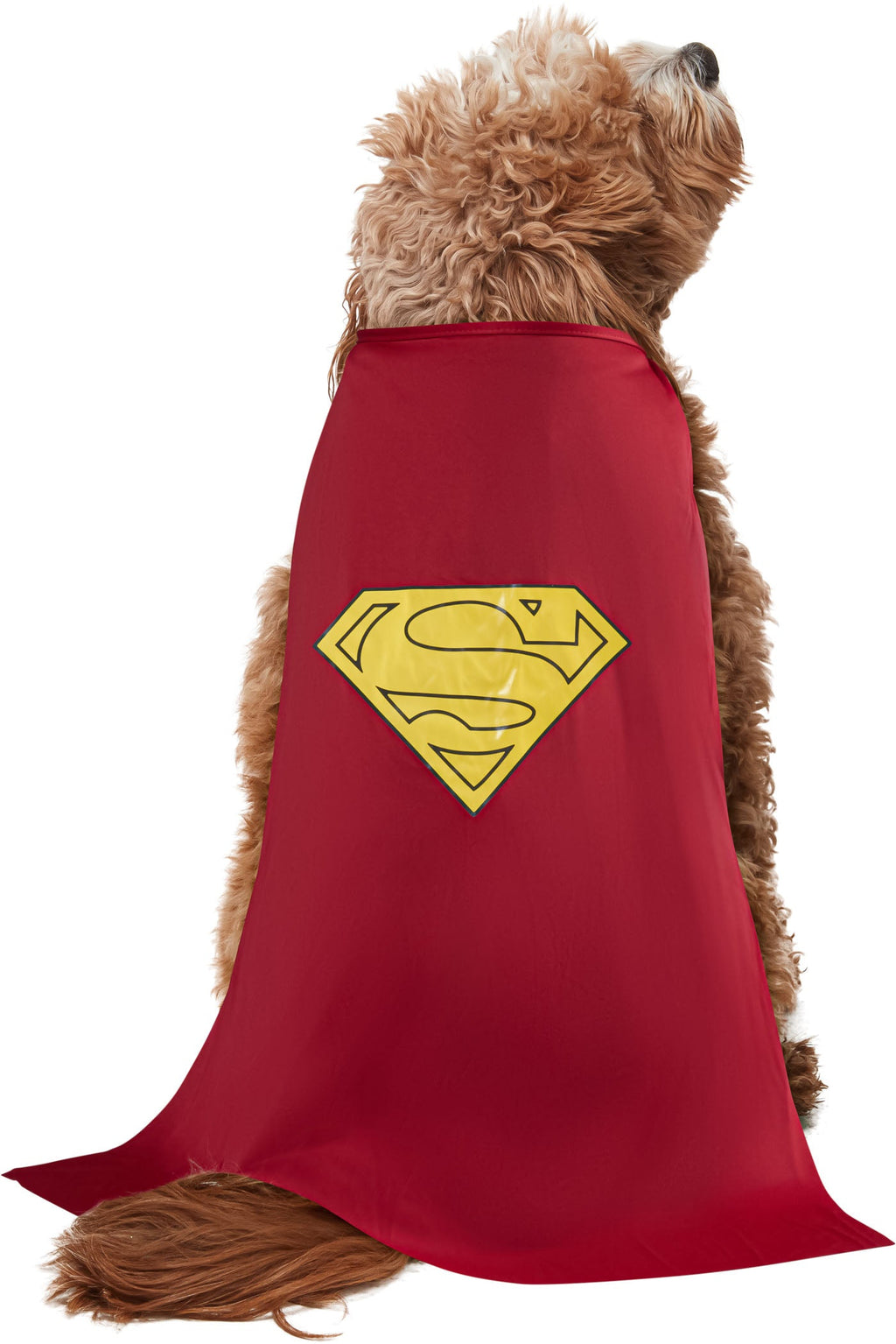 Pet superhero costume red cape with yellow Superman-style emblem on the back