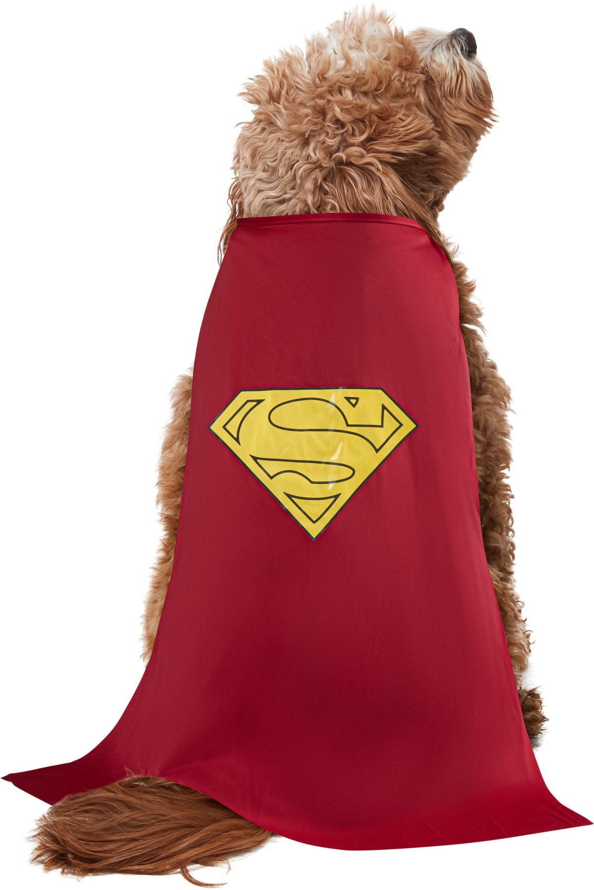 Pet superhero costume red cape with yellow Superman-style emblem on the back