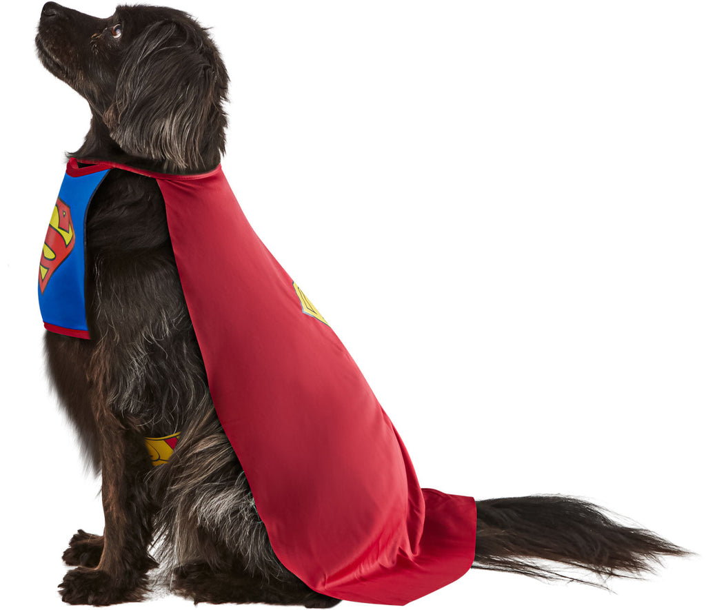 Pet superhero costume with red cape draped over back and blue suit chest graphic