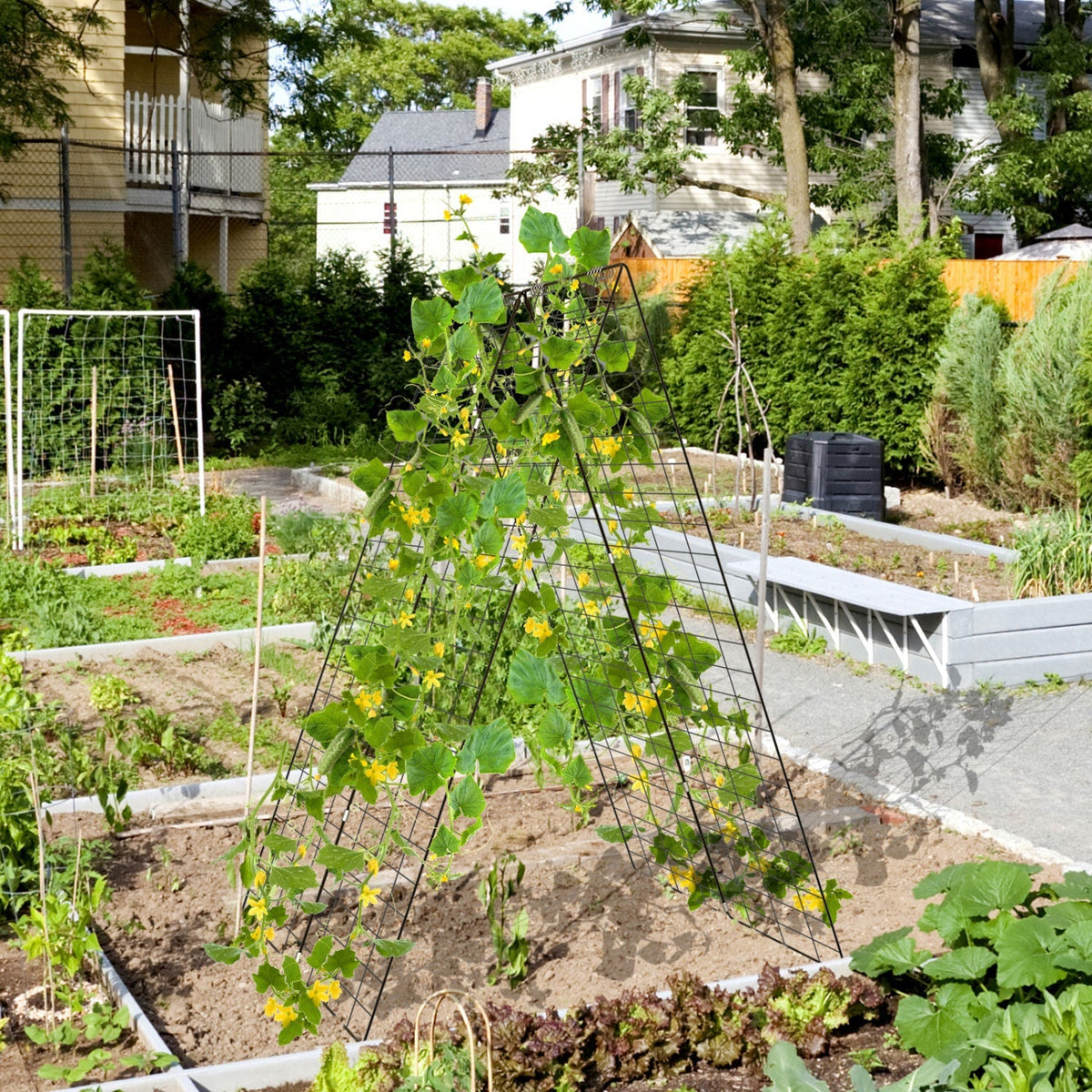 Black A-frame wire garden trellis with ground stake in a planted yard