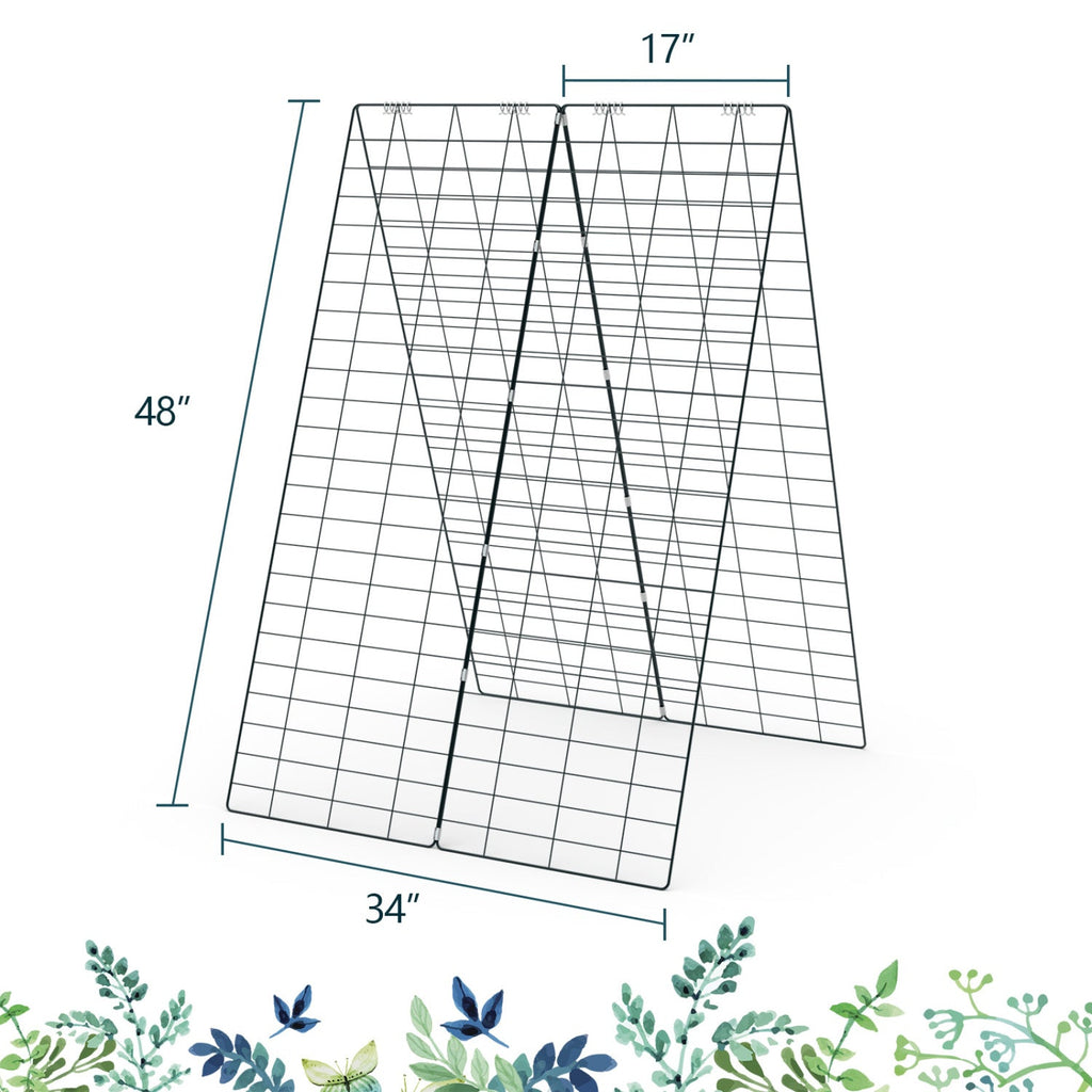 Black A-frame wire garden trellis with ground stake, shown with size guides