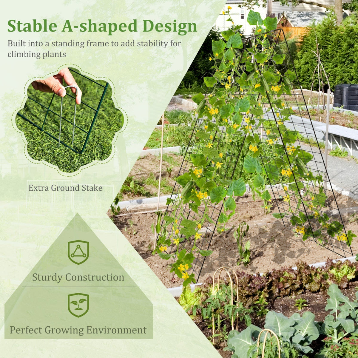 Black A-frame wire trellis with climbing plant support in outdoor garden soil