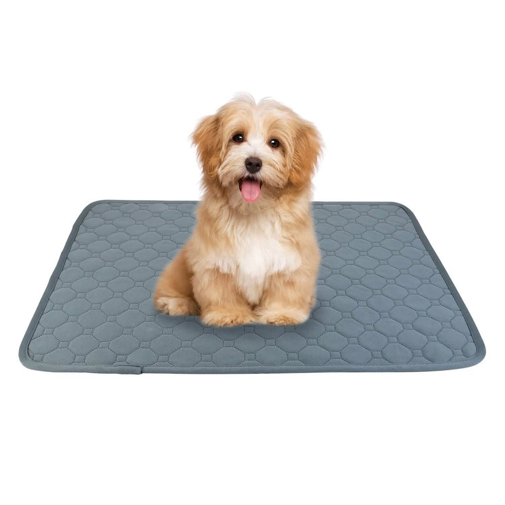 Reusable dog pee pad in dark gray hex-texture mat, shown flat