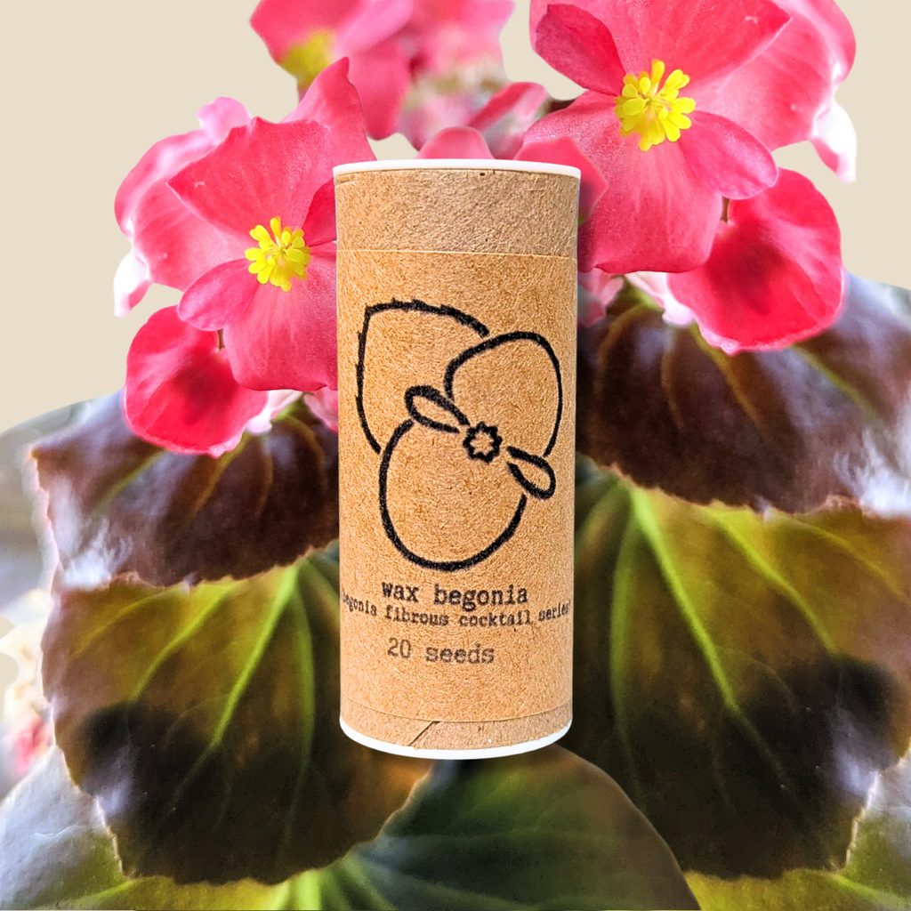 Wax begonia seed packet, kraft tube with logo and label reading 20 seeds