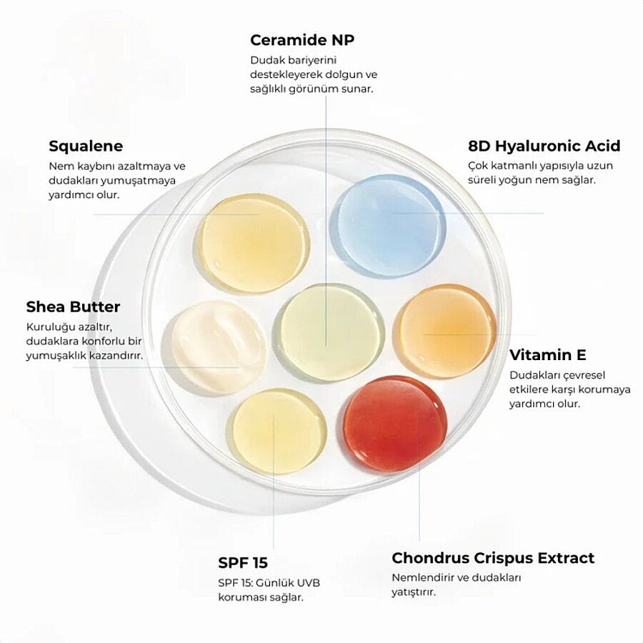 Lip balm formula with SPF 15, showing multiple balm textures in a circular tray.