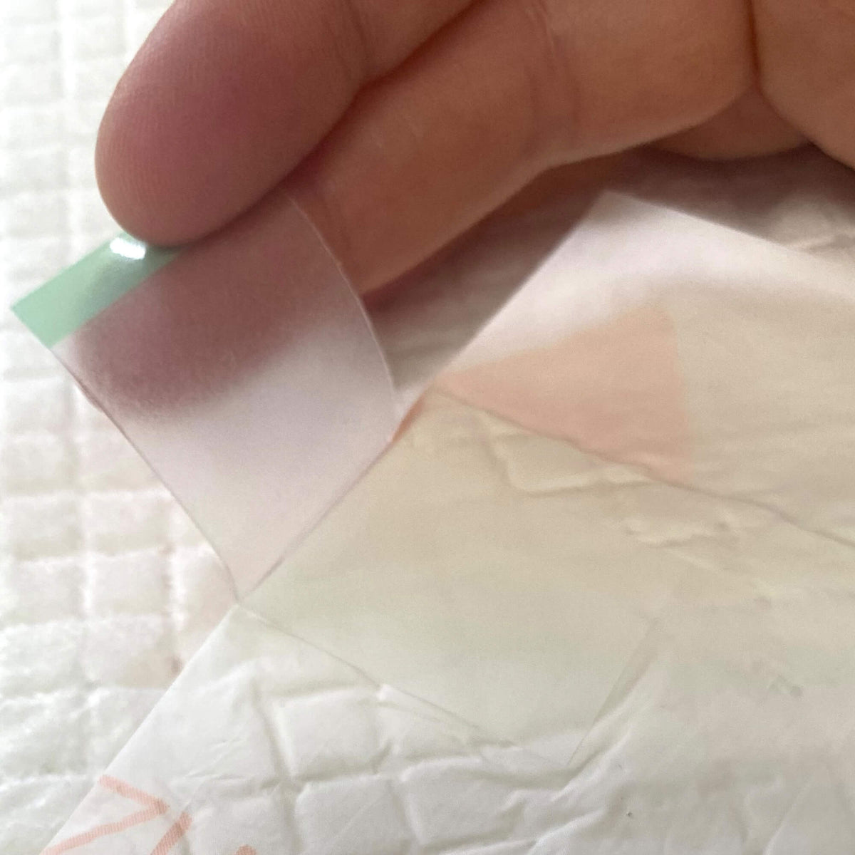 Close-up of layered dog training pad showing absorbent section