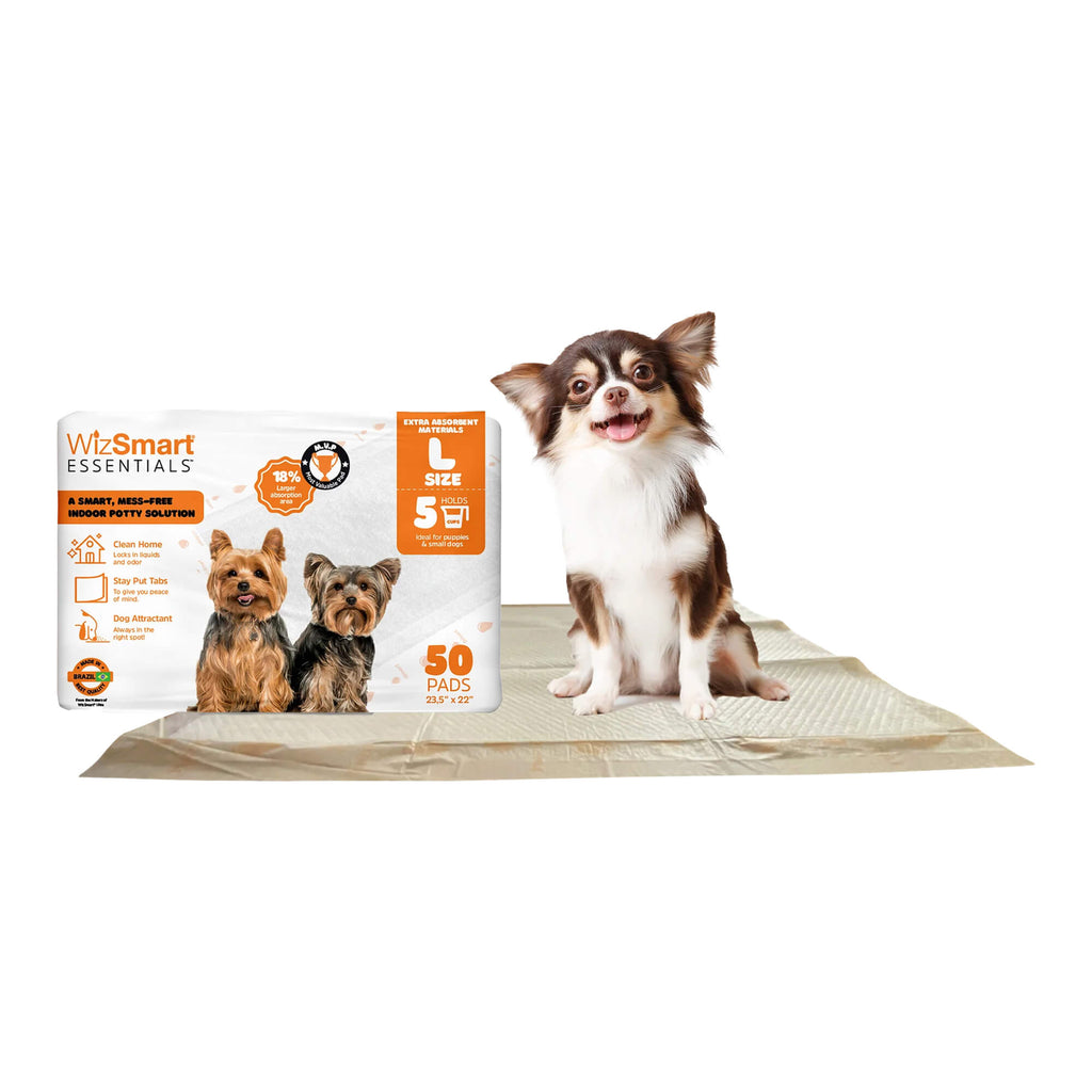 Dog training pads 50-count package with large absorbent pads for puppies and dogs